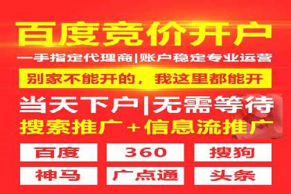 探索SEM竞价专员的技能要求与成功案例